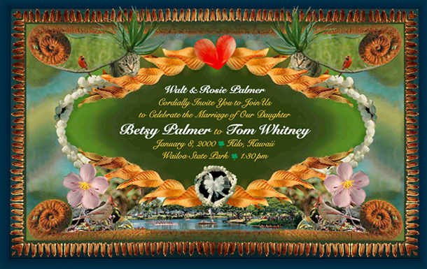 Many photographs taken around Tom & Betsy yard of plants and bired and seeds were combined nicely in their wedding invitation.